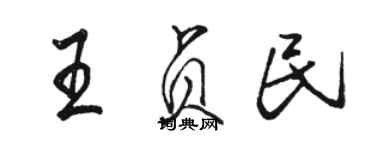 骆恒光王贞民行书个性签名怎么写