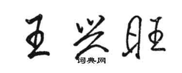 骆恒光王兴旺行书个性签名怎么写
