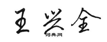 骆恒光王兴全行书个性签名怎么写
