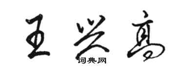 骆恒光王兴高行书个性签名怎么写