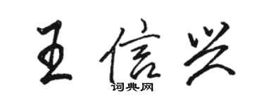 骆恒光王信兴行书个性签名怎么写