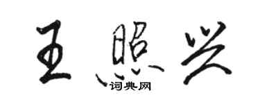 骆恒光王照兴行书个性签名怎么写