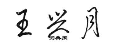 骆恒光王兴月行书个性签名怎么写