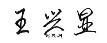 骆恒光王兴显行书个性签名怎么写