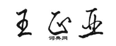骆恒光王正亚行书个性签名怎么写
