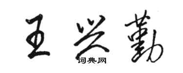 骆恒光王兴勤行书个性签名怎么写