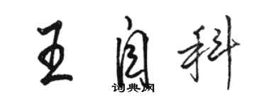 骆恒光王自科行书个性签名怎么写