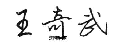 骆恒光王奇武行书个性签名怎么写