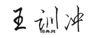 骆恒光王训冲行书个性签名怎么写