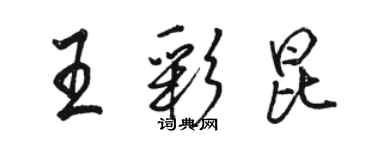 骆恒光王彩昆行书个性签名怎么写