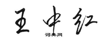 骆恒光王中红行书个性签名怎么写