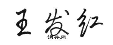 骆恒光王发红行书个性签名怎么写