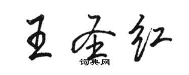 骆恒光王圣红行书个性签名怎么写
