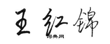 骆恒光王红锦行书个性签名怎么写