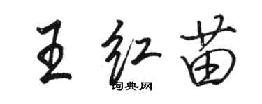 骆恒光王红苗行书个性签名怎么写