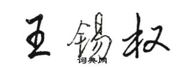 骆恒光王锡权行书个性签名怎么写