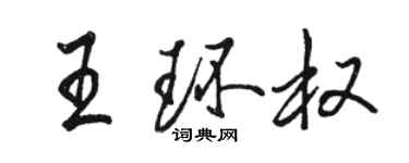 骆恒光王环权行书个性签名怎么写