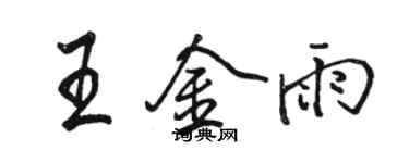 骆恒光王金雨行书个性签名怎么写