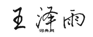 骆恒光王泽雨行书个性签名怎么写