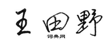 骆恒光王田野行书个性签名怎么写