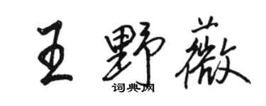 骆恒光王野薇行书个性签名怎么写