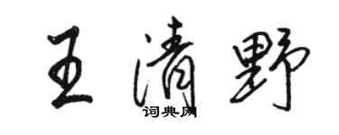 骆恒光王清野行书个性签名怎么写