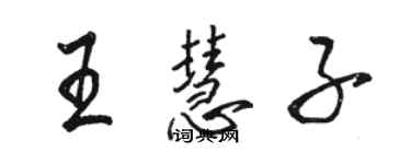 骆恒光王慧子行书个性签名怎么写