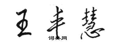 骆恒光王丰慧行书个性签名怎么写