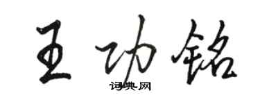 骆恒光王功铭行书个性签名怎么写