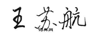 骆恒光王苏航行书个性签名怎么写