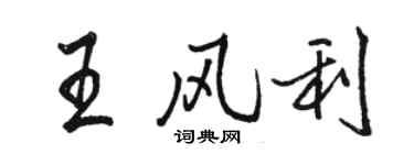骆恒光王风利行书个性签名怎么写