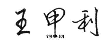 骆恒光王甲利行书个性签名怎么写