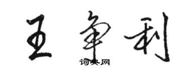骆恒光王争利行书个性签名怎么写