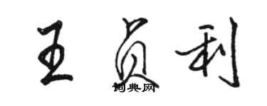 骆恒光王贞利行书个性签名怎么写