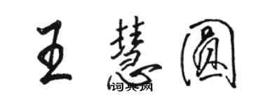 骆恒光王慧圆行书个性签名怎么写