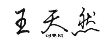 骆恒光王天然行书个性签名怎么写