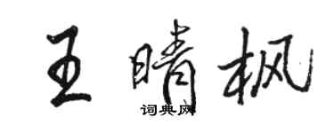 骆恒光王晴枫行书个性签名怎么写
