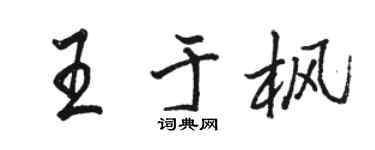 骆恒光王于枫行书个性签名怎么写