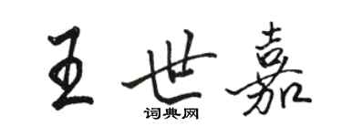 骆恒光王世嘉行书个性签名怎么写
