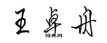 骆恒光王卓舟行书个性签名怎么写