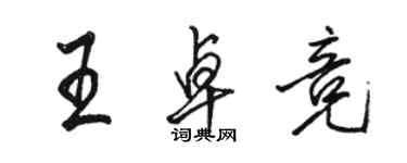 骆恒光王卓竞行书个性签名怎么写