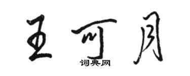 骆恒光王可月行书个性签名怎么写