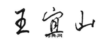 骆恒光王宜山行书个性签名怎么写
