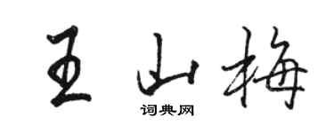 骆恒光王山梅行书个性签名怎么写