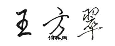 骆恒光王方翠行书个性签名怎么写