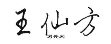 骆恒光王仙方行书个性签名怎么写