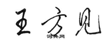 骆恒光王方见行书个性签名怎么写