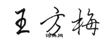 骆恒光王方梅行书个性签名怎么写