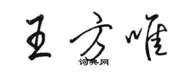 骆恒光王方唯行书个性签名怎么写