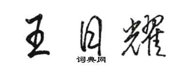 骆恒光王日耀行书个性签名怎么写